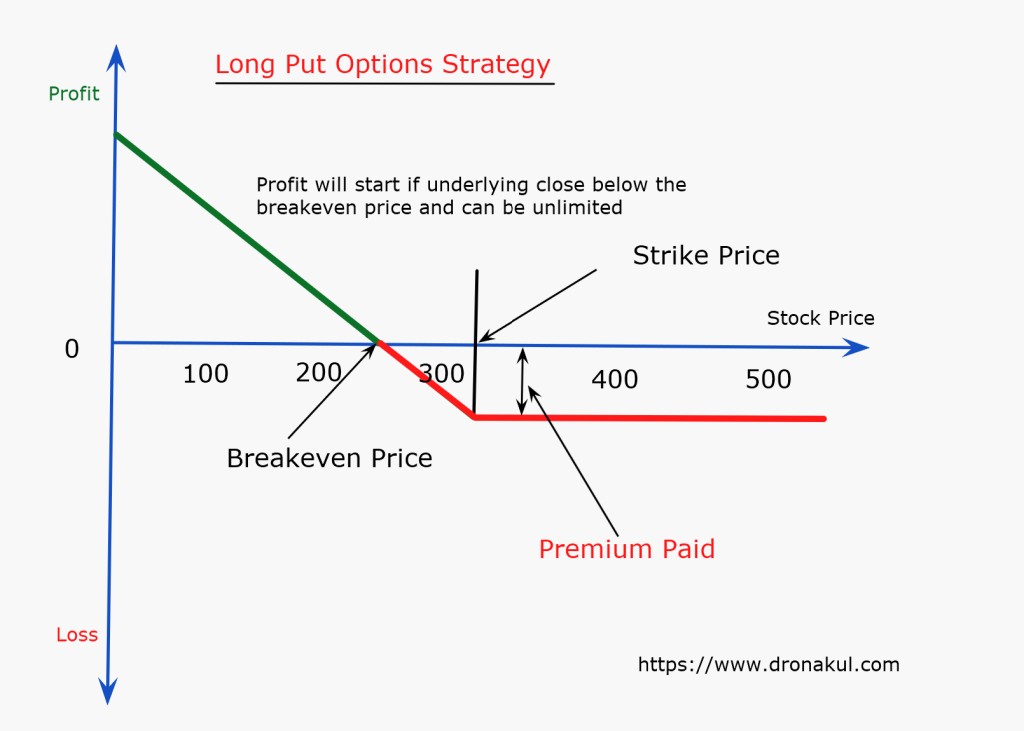 long_put_options_strategy_explained_by_dronakul